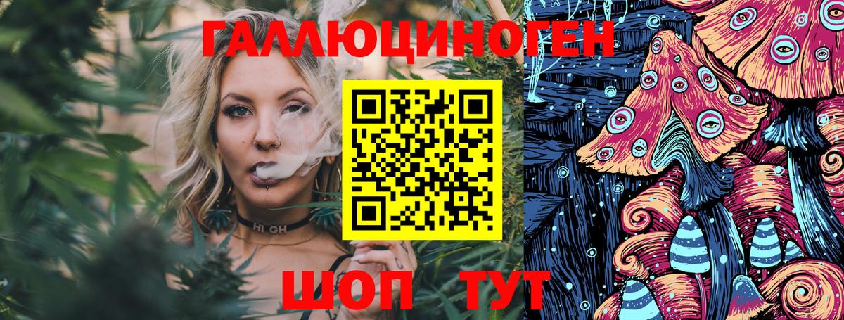 Галлюциногенные грибы MAGIC MUSHROOMS Гусев