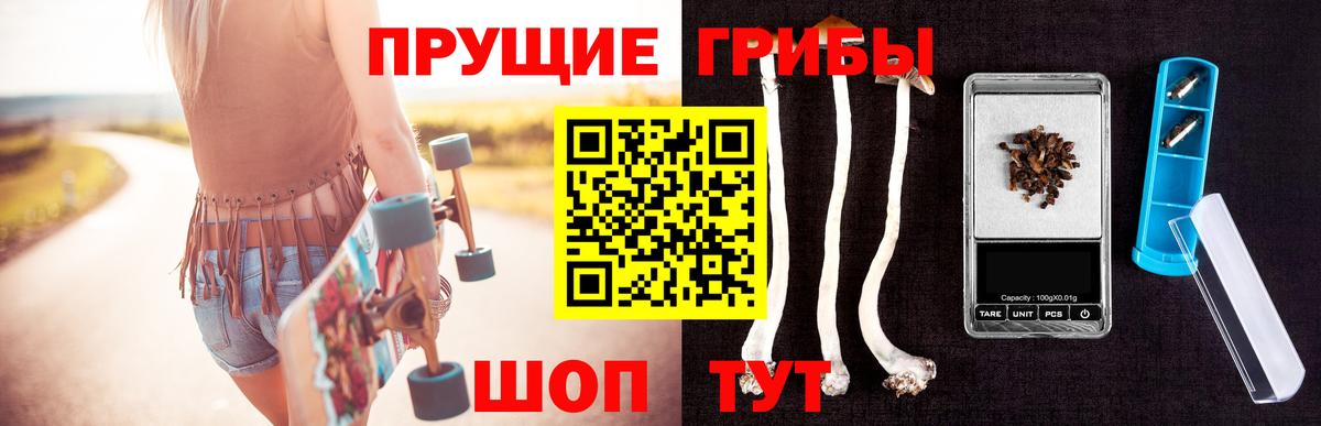 Галлюциногенные грибы прущие грибы  где продают наркотики  Гусев  Вход с VPN 